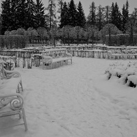 Екатерининский парк