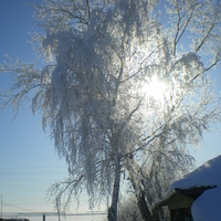Зима 2010года. с. Семиозерка