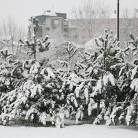 Зима в Кикинде.