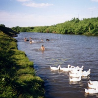На реке Карасук
