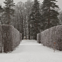 Александровский парк