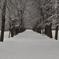 Александровский парк