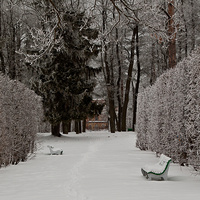 Александровский парк