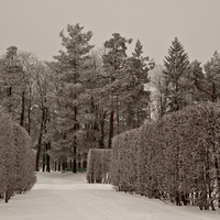 Александровский парк