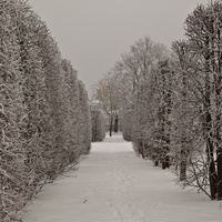 Александровский парк