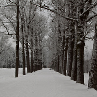Александровский парк