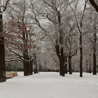 Александровский парк