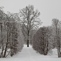 Александровский парк