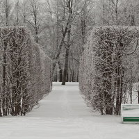 Александровский парк