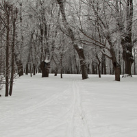 Александровский парк