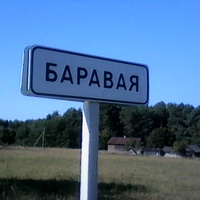 Дорога со стороны д.Достоево