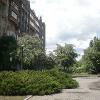 центрально-городской район