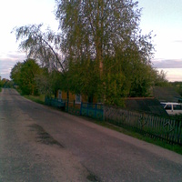 д.Кривоногово - улица