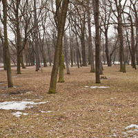 Парк "Екатерингоф"