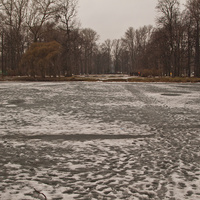 Озеро в парке "Екатерингоф"