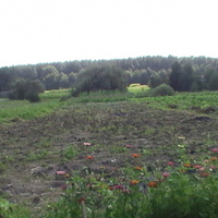 огород