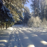 зима дорога