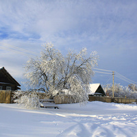 Зимний день в Кузьминке.