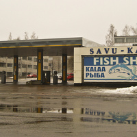 Рыбный магазин