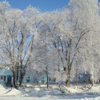 Улица поселка Новостройка