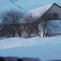 Щенятин зима 2014