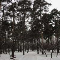 Парк Сосенки на Бакинской