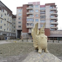 Гатчина, новостройки