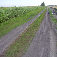 дорога від станції  до ферми