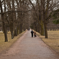 Екатерининский парк