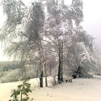 Зимой на хуторе Ситное