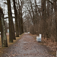 Рамповая аллея