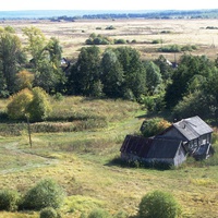 Дом Зинкиных в Кувшиновке, Аришка.