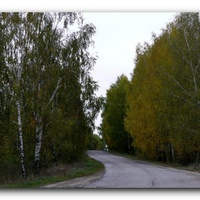 Черновское, дорога на деревню от с. Филинское