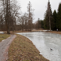 Верхние прудки