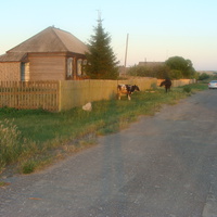 с.Порецкое,ул. Заречная.