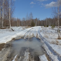 Дорога на Знаменку