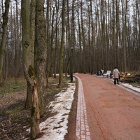 Бахрушинка, дорожки в парке Царицыно
