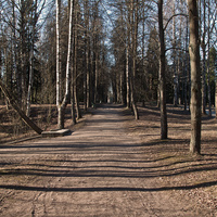 Павловский парк