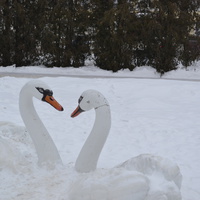 Лебеди на площади Дзержинского