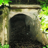 В захаращеному парку можна віднайти залишки підземель Крупенських.