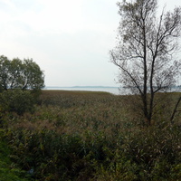Вид с поселка на озеро