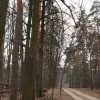 Бывшая усадьба Троицкое на Обитце