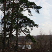 Территория бывшей усадьбы Троицкое на Обитце