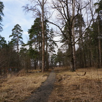 Территория бывшей усадьбы Троицкое на Обитце