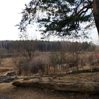 Территория бывшей усадьбы Троицкое на Обитце