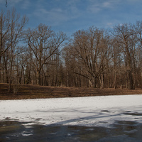 Кухонный пруд