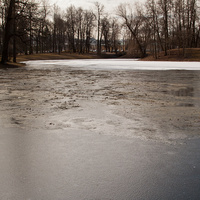 Кухонный пруд