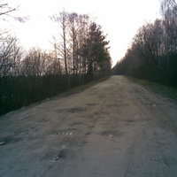 дорога до села
