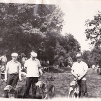 выставка охотничьих собак в салтыковке 1977г