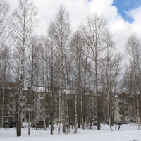 Сыктывкар 2014  - возле школы 1